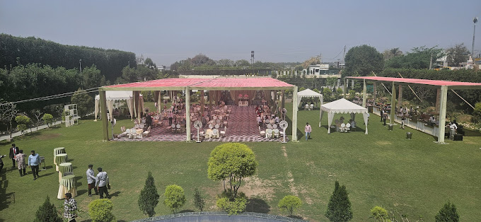 Golden crown lawn